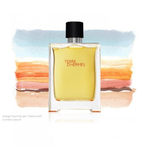 ادکلن تق هرمس ادو تویلت (Terre d’Hermes EDT for men)